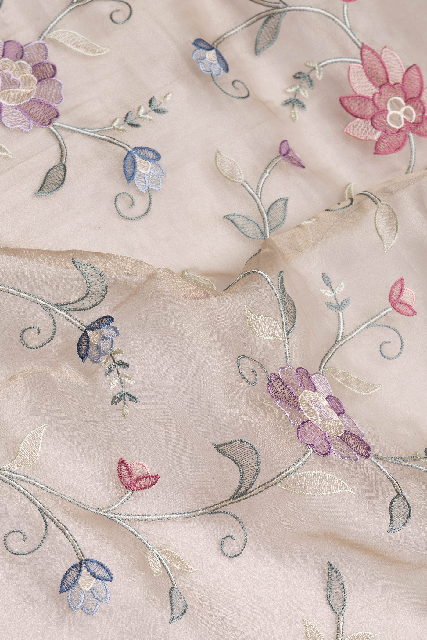 Close up of Beige Organza Silk Saree with Embroidery on the body and Embroidery Border.  displaying folds
