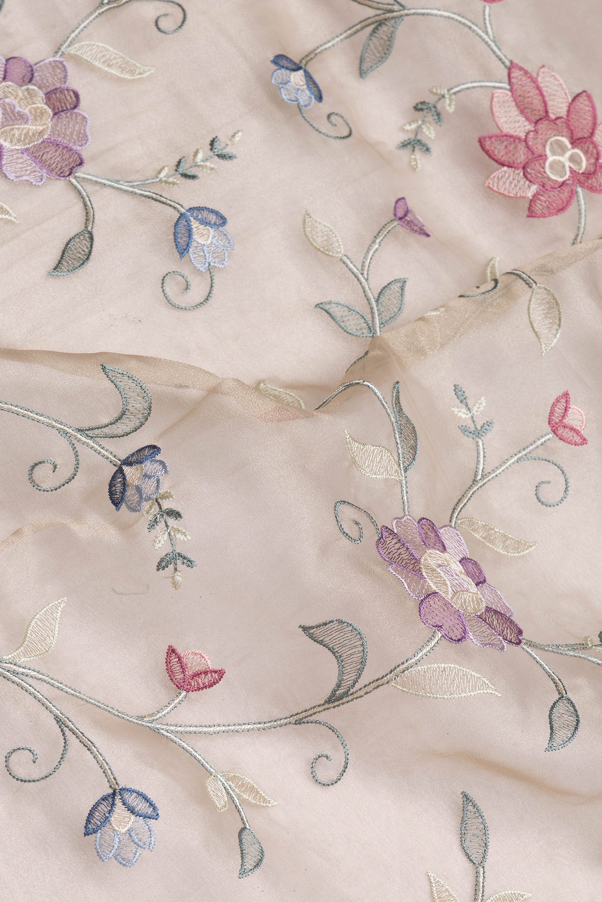 Close up of Beige Organza Silk Saree with Embroidery on the body and Embroidery Border.  displaying folds