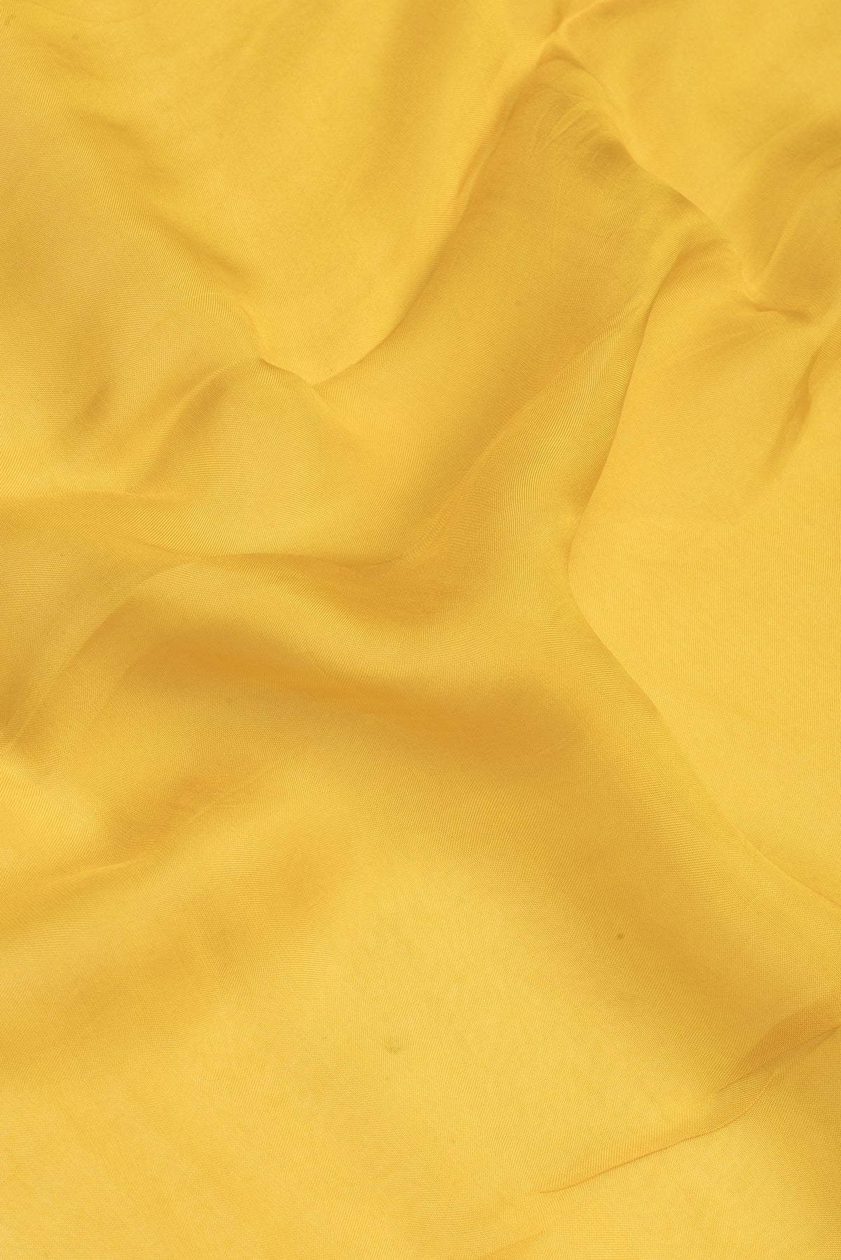 Close up of Yellow Organza Silk Saree with Plain Body and Embroidery Border.  displaying folds