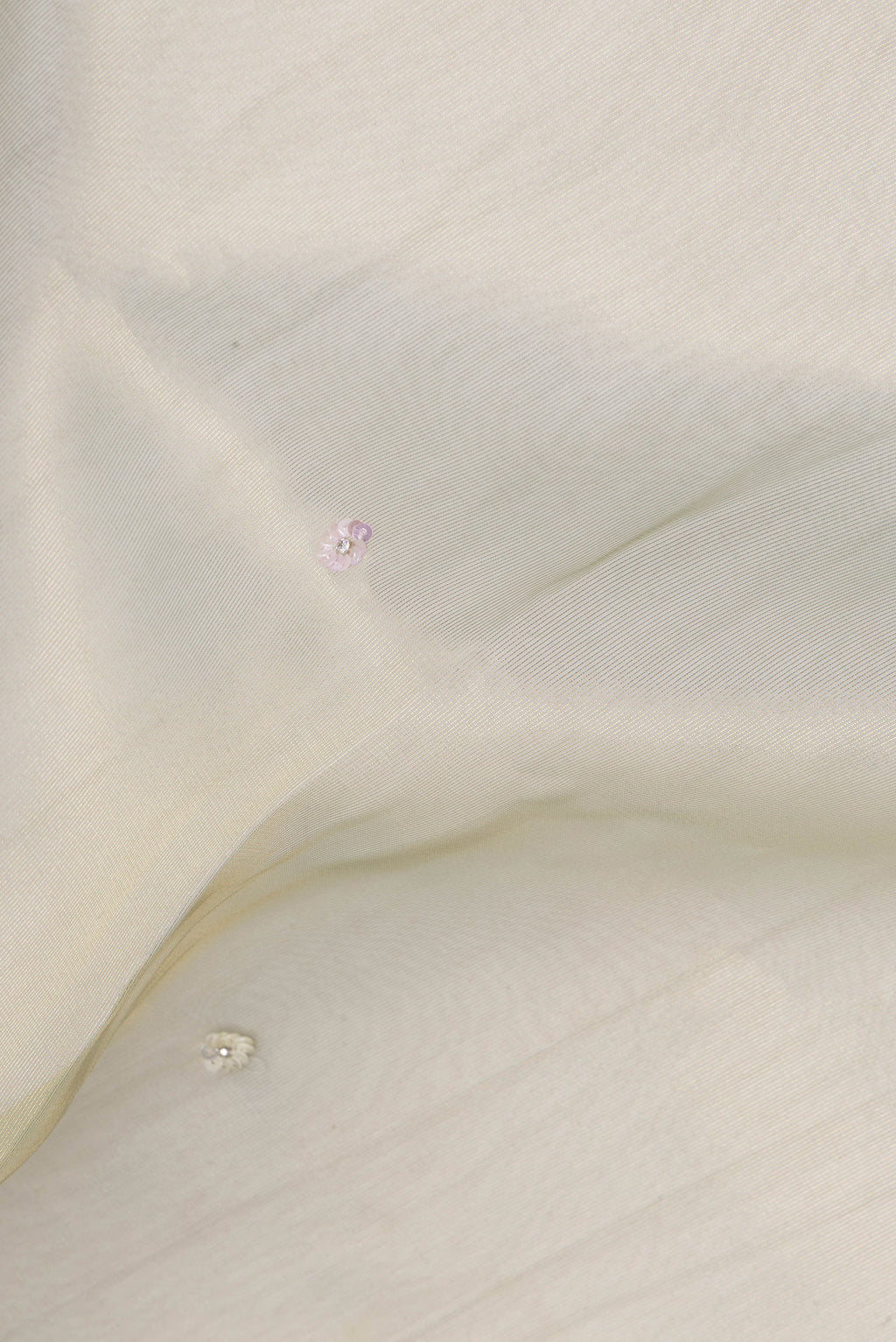 Close up of Light Green Dual Tone Organza Saree with Embroidery on the body and Sequin Border.  displaying folds