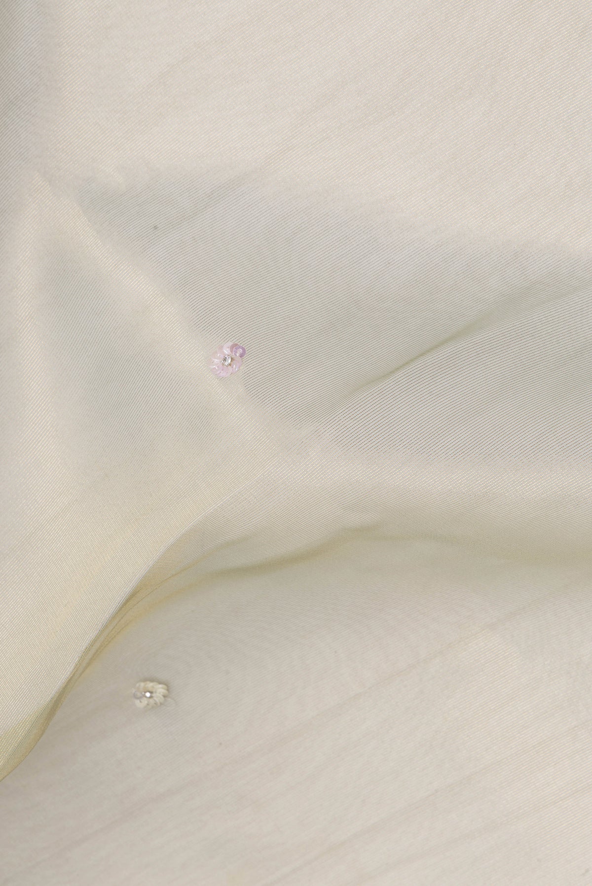 Close up of Light Green Dual Tone Organza Saree with Embroidery on the body and Sequin Border.  displaying folds