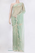 Light Green Dual Tone Organza Silk Saree with Embroidery on the body and Sequin Border.  displayed on a mannequin