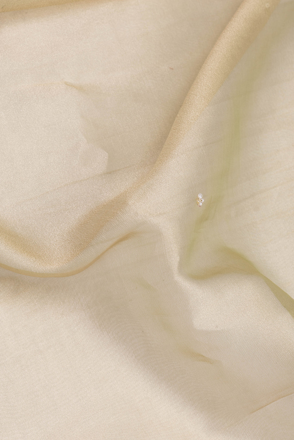 Close up of Beige Organza Silk Saree with Embroidery on the body and Sequin Border.  displaying folds