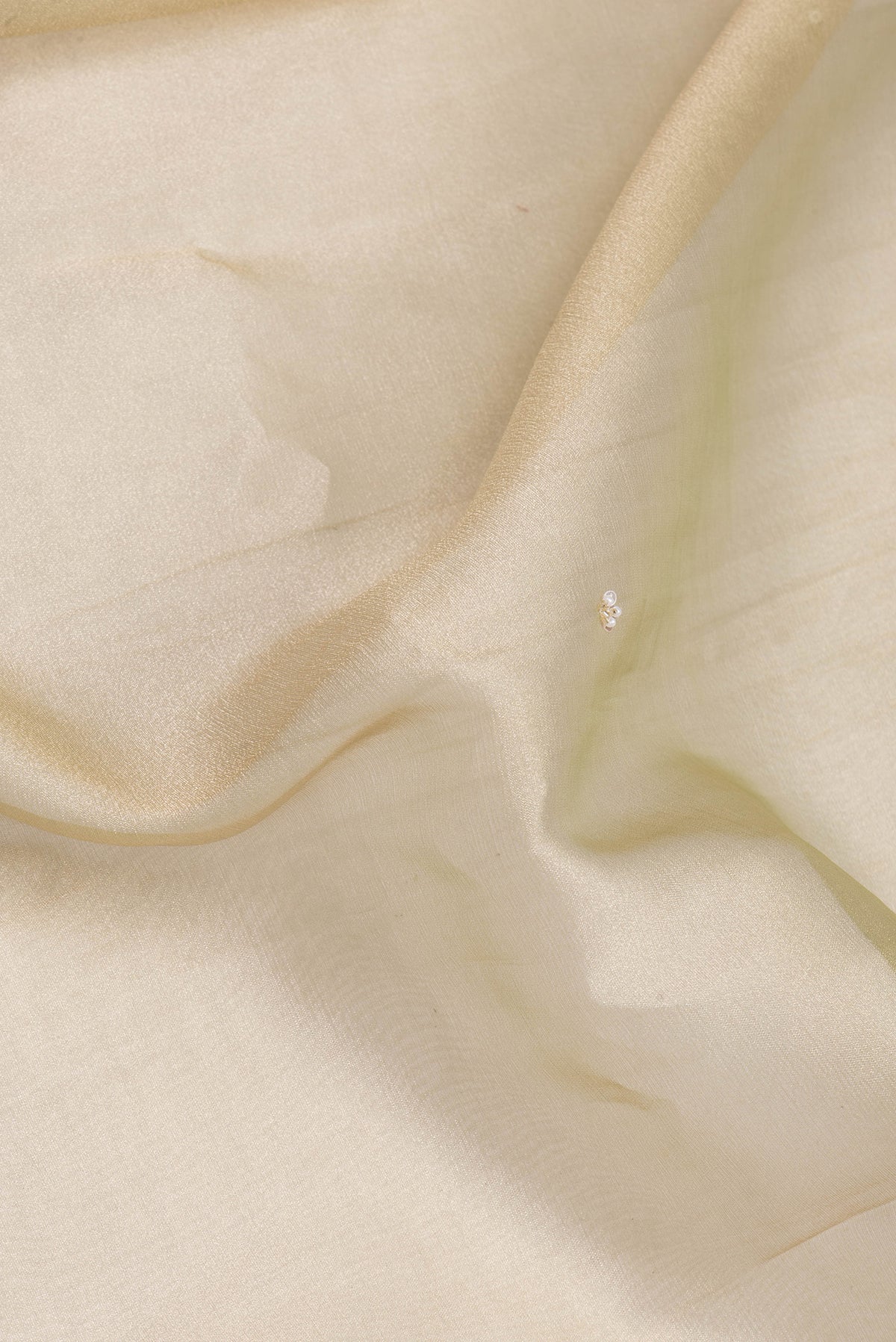Close up of Beige Organza Silk Saree with Embroidery on the body and Sequin Border.  displaying folds