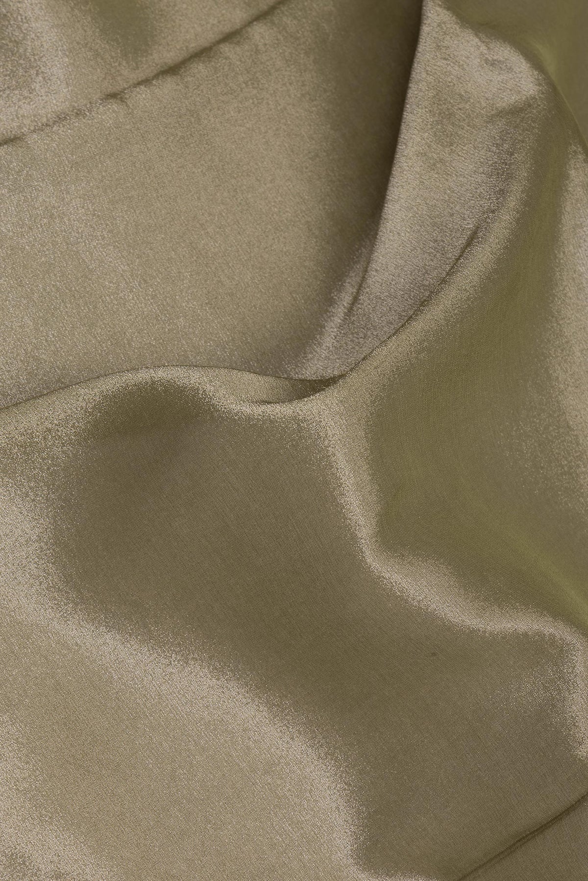 Close up of Green Dual Tone Organza Saree with Plain Body and Embroidery Border.  displaying folds