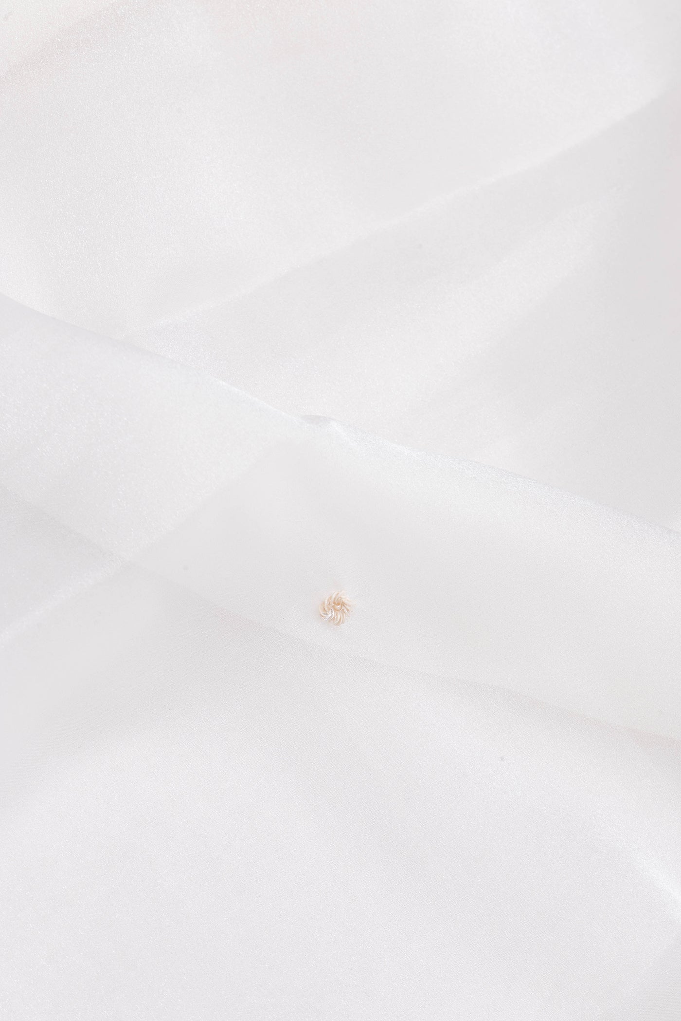 Close up of Off White Organza Silk Saree with Embroidery on the body and Embroidery Border.  displaying folds