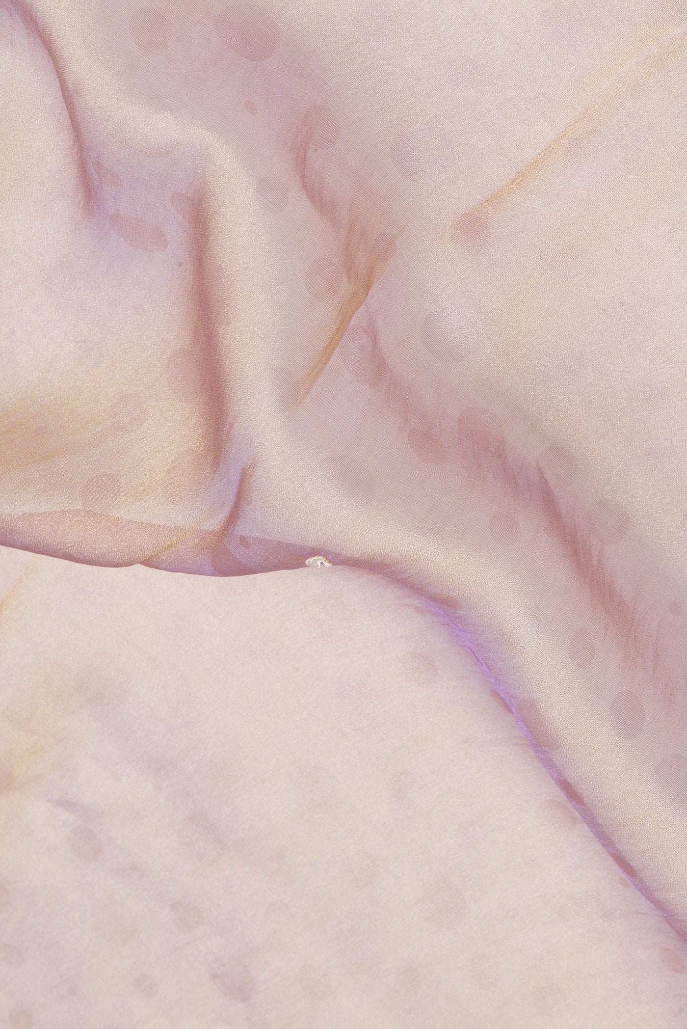 Close up of Gold Dual Tone Georgette Saree with Embroidery on the body and Sequin Border.  displaying folds