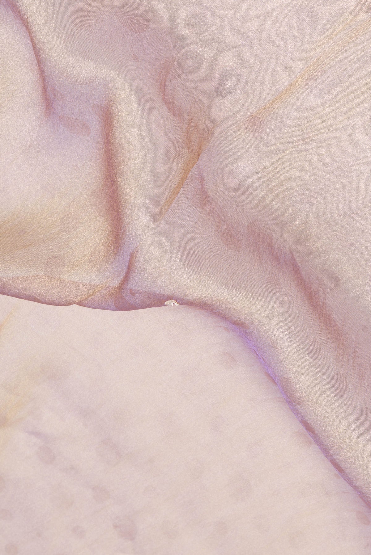 Close up of Gold Dual Tone Georgette Saree with Embroidery on the body and Sequin Border.  displaying folds