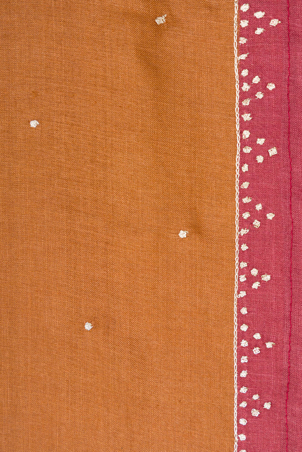 Border image of Brick Orange Dual Tone Tussar Silk Saree with Embroidery on the body and Embroidery Border. 