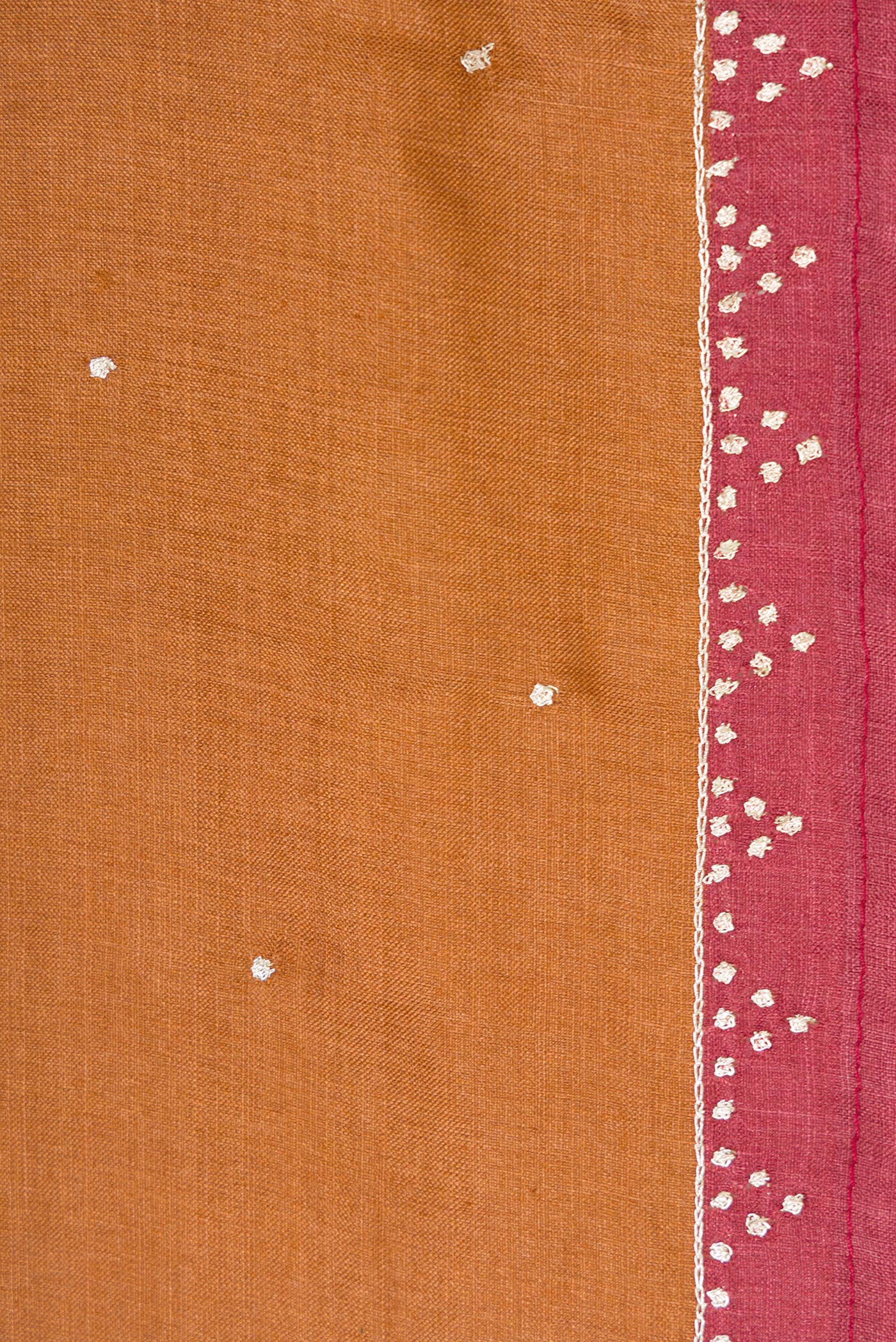 Border image of Brick Orange Dual Tone Tussar Silk Saree with Embroidery on the body and Embroidery Border. 