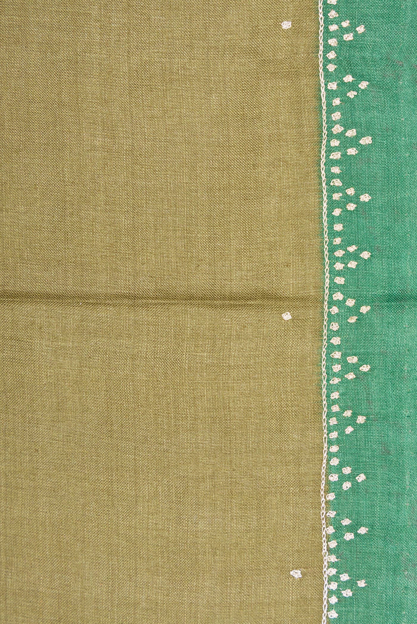 Border image of Mehandi Green Dual Tone Tussar Silk Saree with Embroidery on the body and Embroidery Border. 