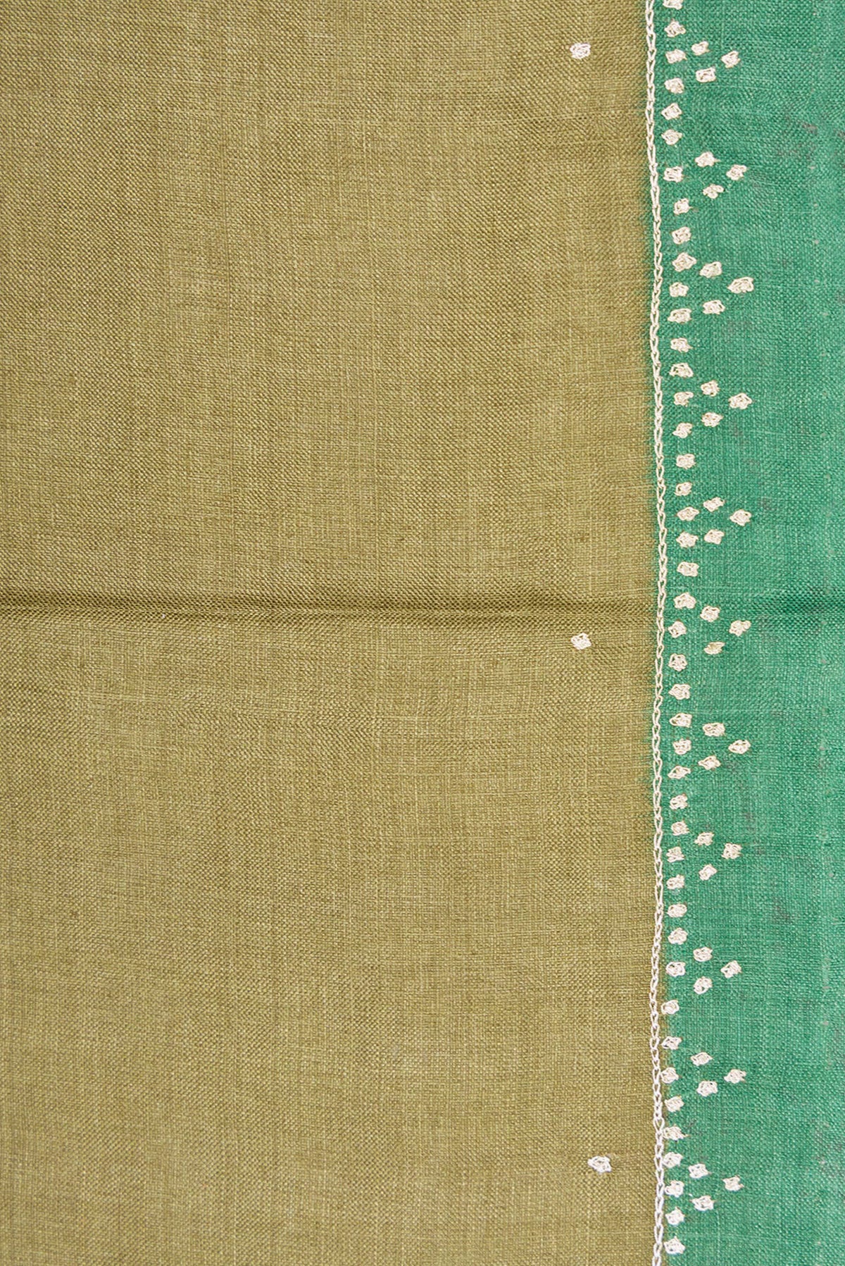 Border image of Mehandi Green Dual Tone Tussar Silk Saree with Embroidery on the body and Embroidery Border. 