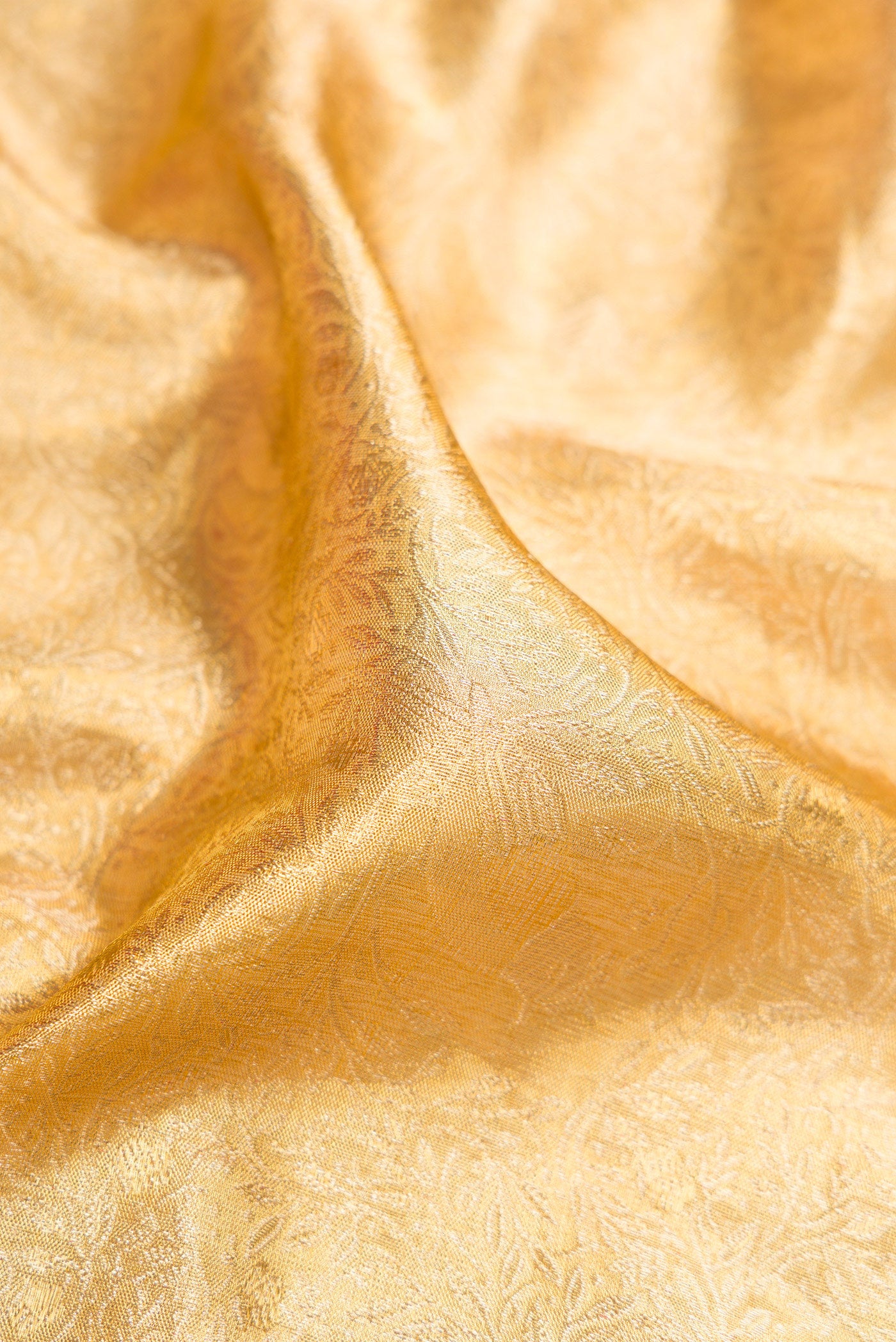 Close up of Gold Dual Tone Kanjivaram Tissue Silk Saree with Zari Brocade on the body and Embroidery Border.  displaying folds