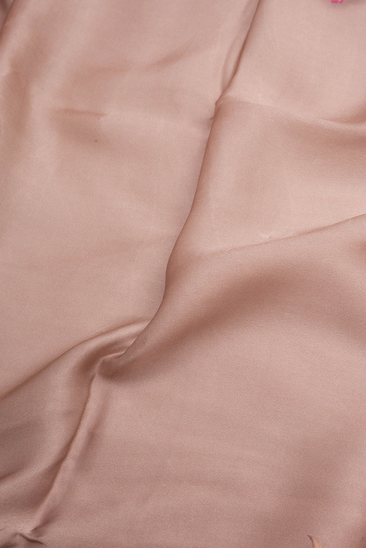 Close up of Brown Crepe Saree with Printed design on the body and Printed Border.  displaying folds