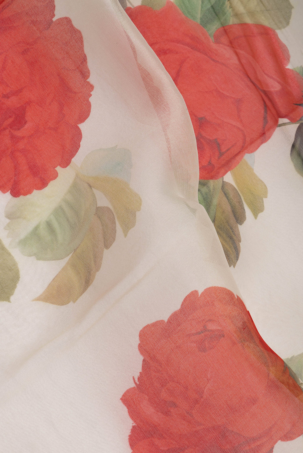 Close up of Beige Organza Silk Saree with Floral Print on the body and Zari Border.  displaying folds