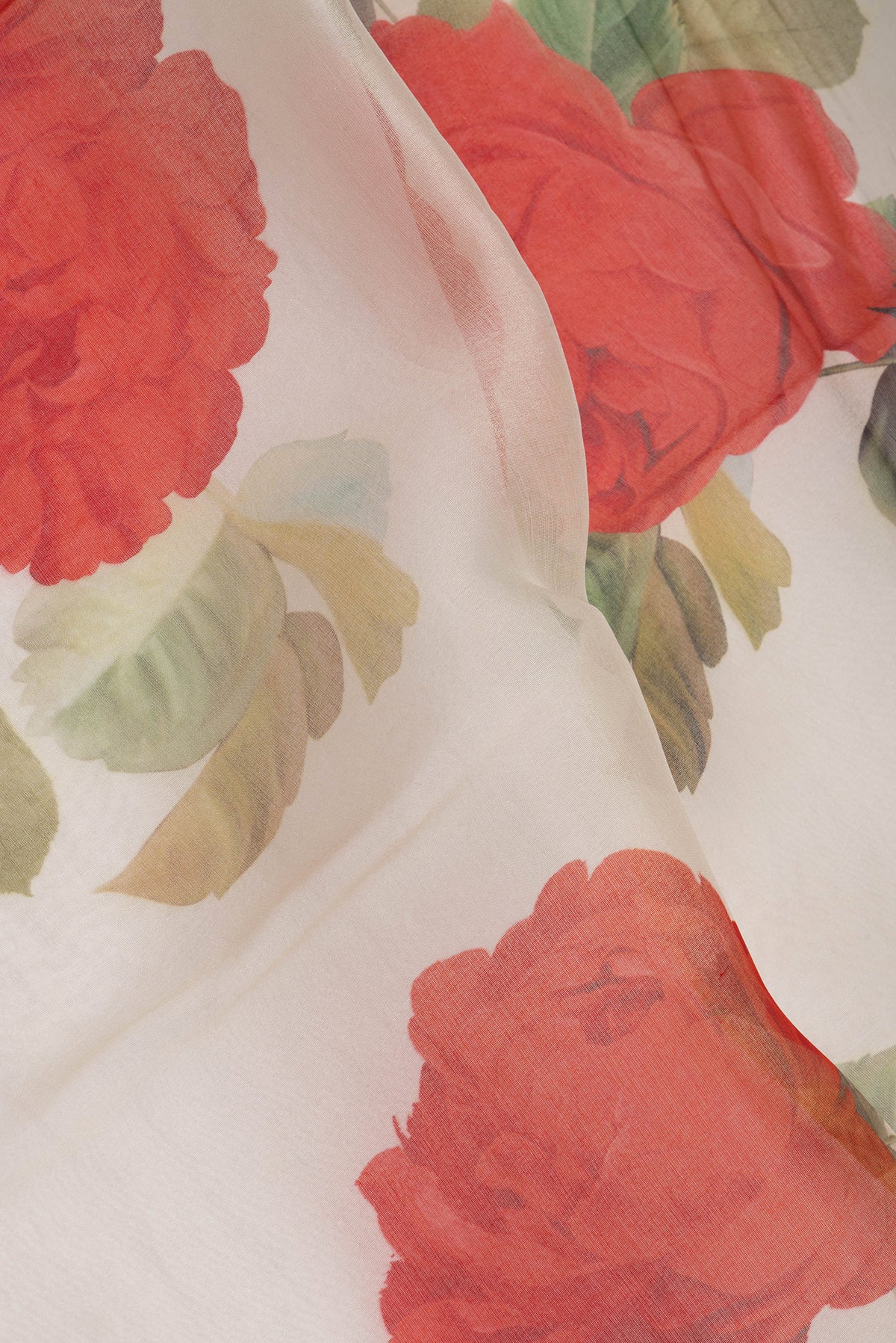 Close up of Beige Organza Silk Saree with Floral Print on the body and Zari Border.  displaying folds