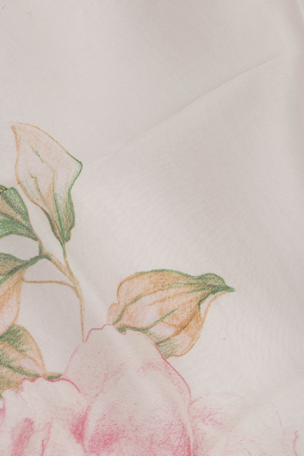 Close up of Cream Organza Silk Saree with Floral Print on the body and Zari Border.  displaying folds