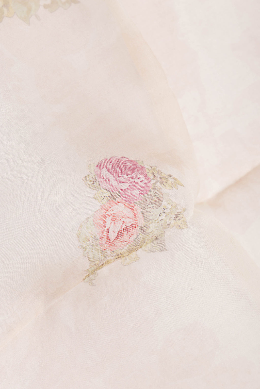 Close up of Beige Organza Silk Saree with Floral Print on the body and Without Border.  displaying folds