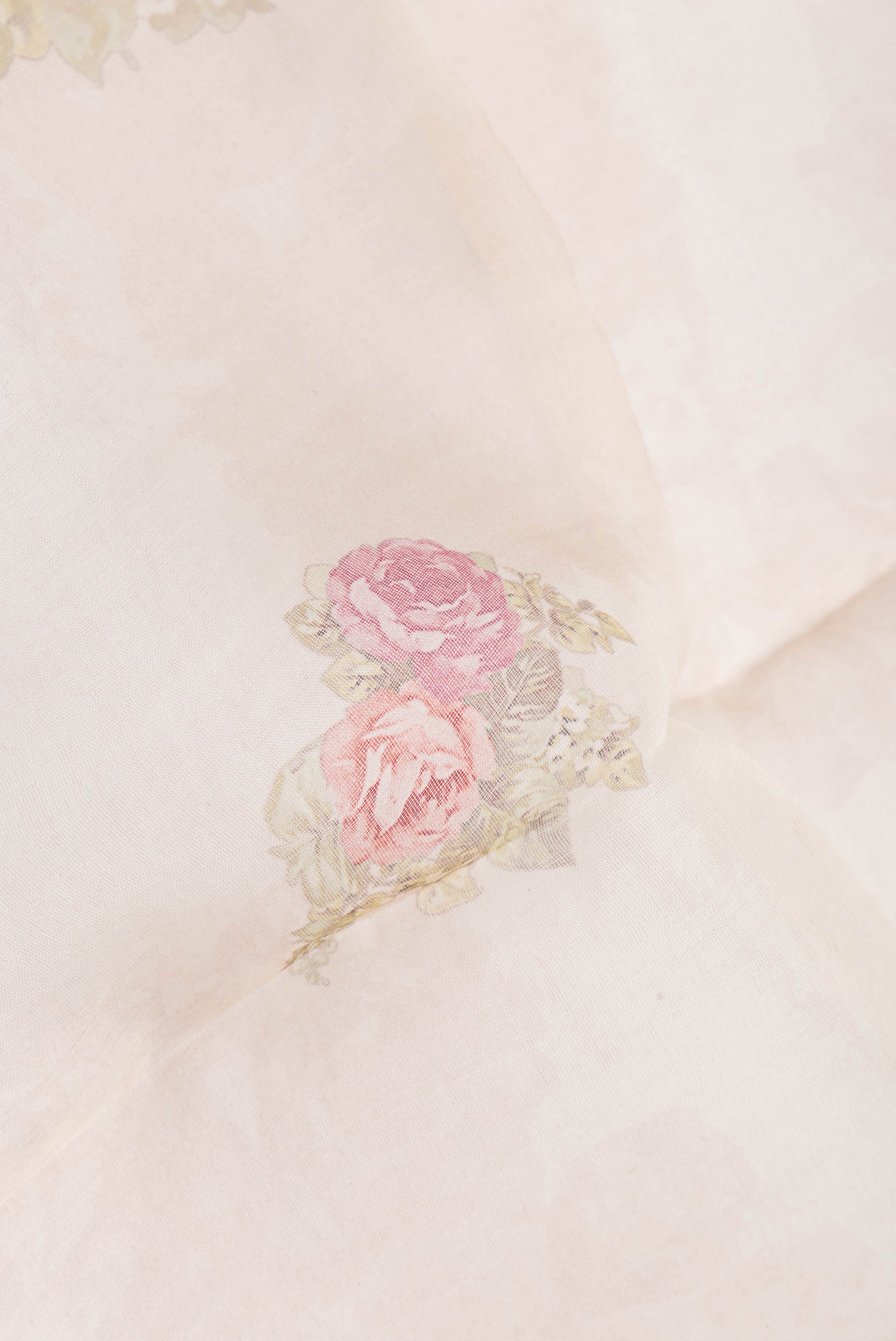 Close up of Beige Organza Silk Saree with Floral Print on the body and Without Border.  displaying folds