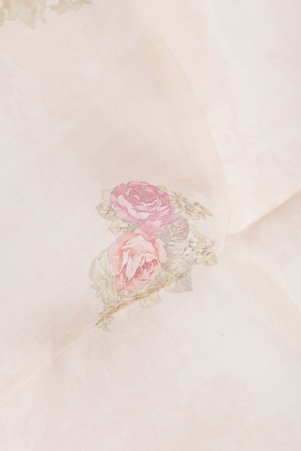 Close up of Beige Organza Silk Saree with Floral Print on the body and Without Border.  displaying folds