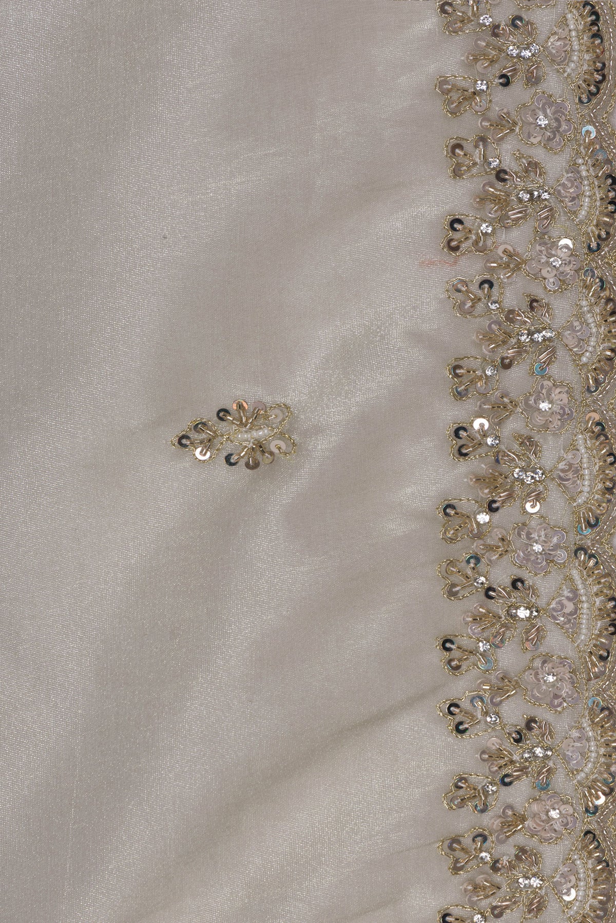 Border image of Pure Silk Beige Dual Tone Tussar Saree with Printed design on the body and Fancy Border. 