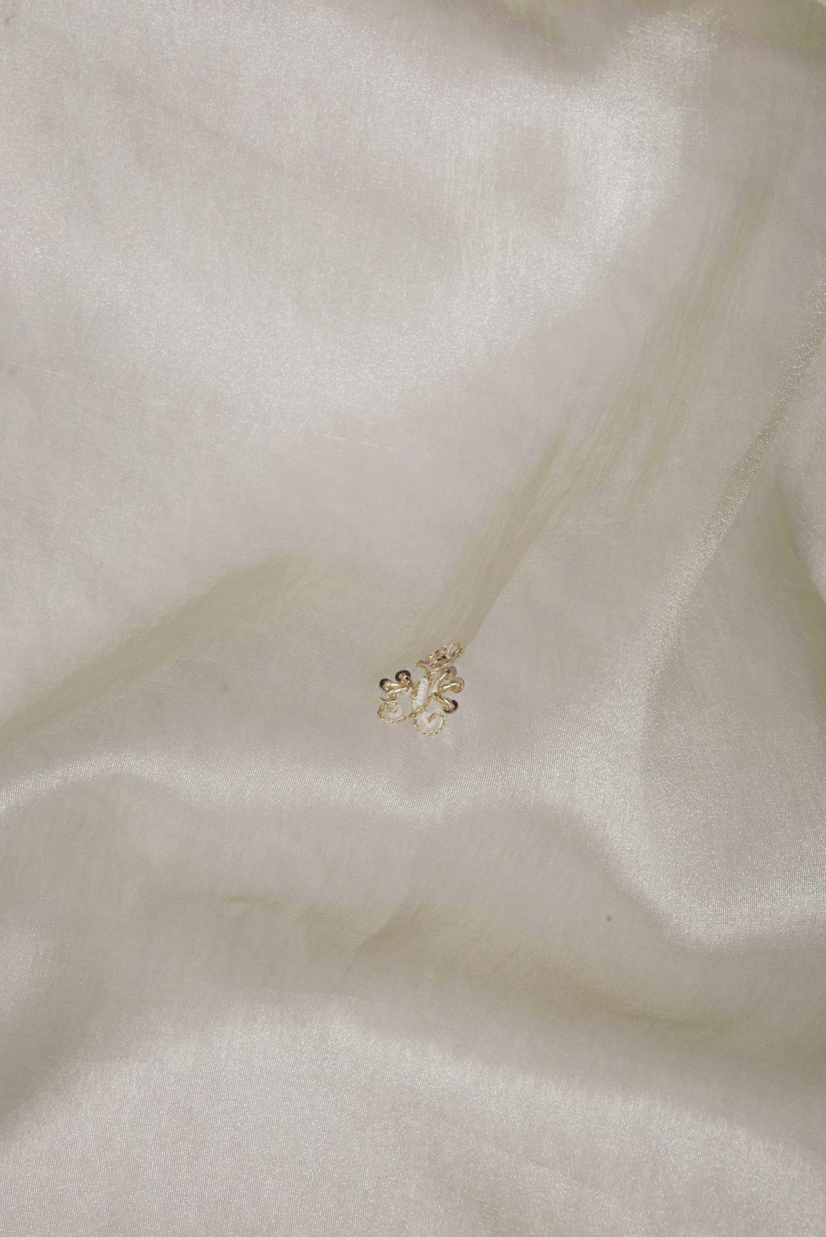 Close up of Pure Silk Beige Dual Tone Tussar Saree with Printed design on the body and Fancy Border.  displaying folds