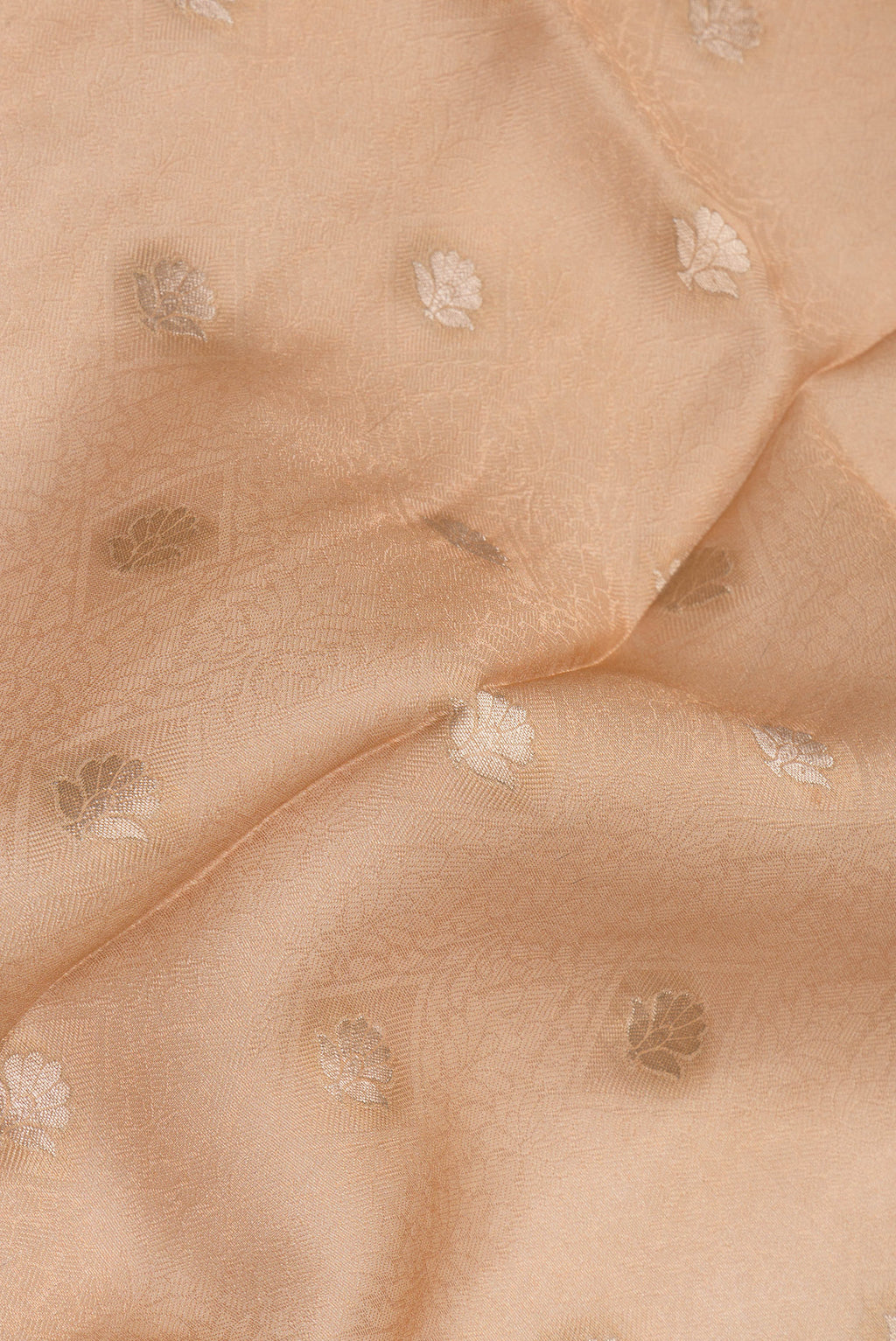 Close up of Beige Organza Silk Saree with Jacquard With Zari Butta on the body and Fancy Border.  displaying folds