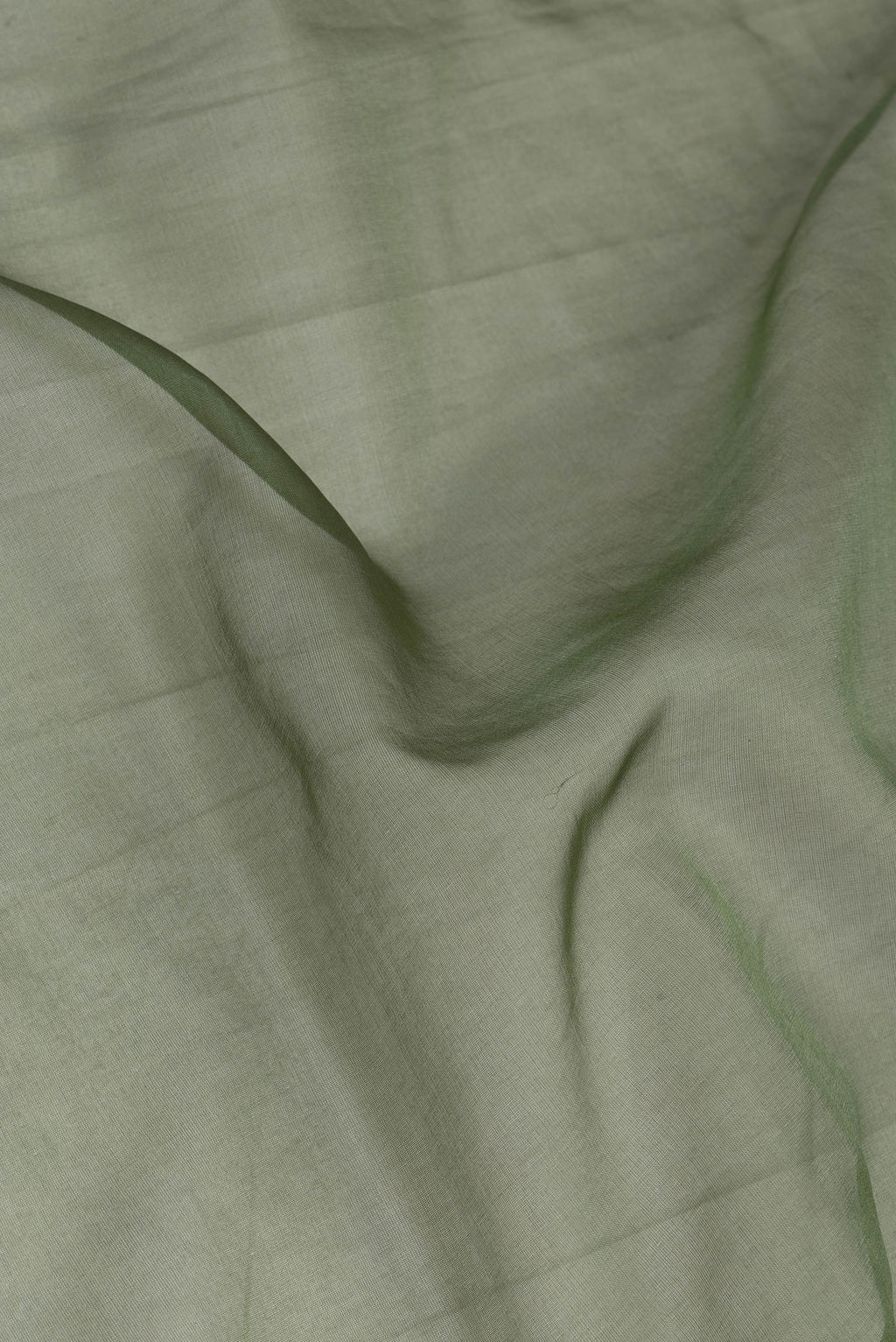 Close up of Olive Green Organza Silk Saree with Embroidery on the body and Embroidery Border.  displaying folds