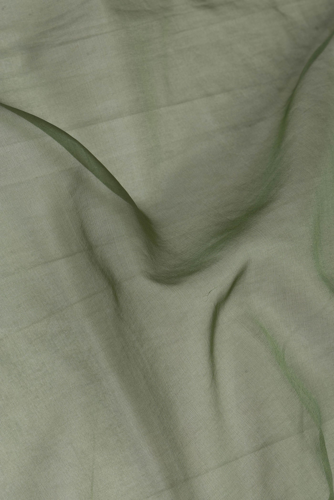 Close up of Olive Green Organza Silk Saree with Embroidery on the body and Embroidery Border.  displaying folds