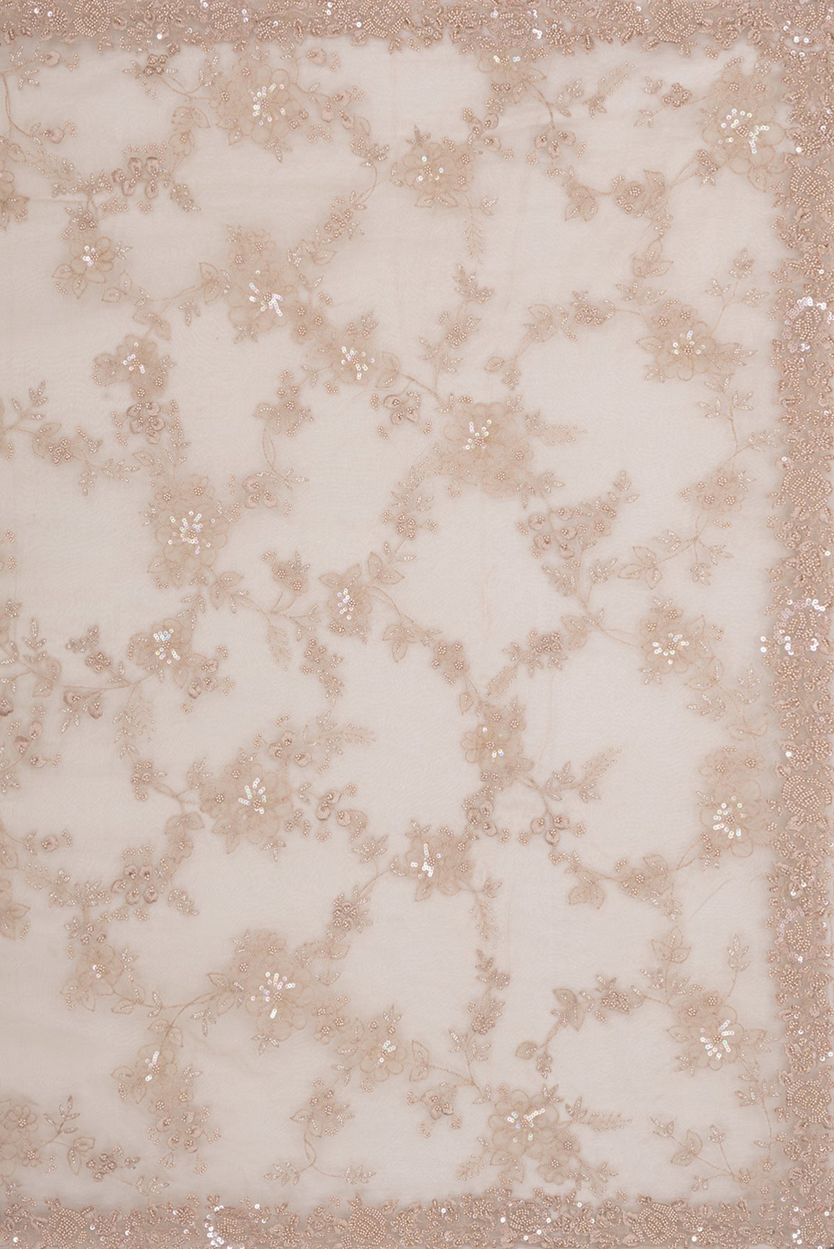 Close up image of the pallu of Beige Organza Saree with Embroidered on the body and Sequin Border. 