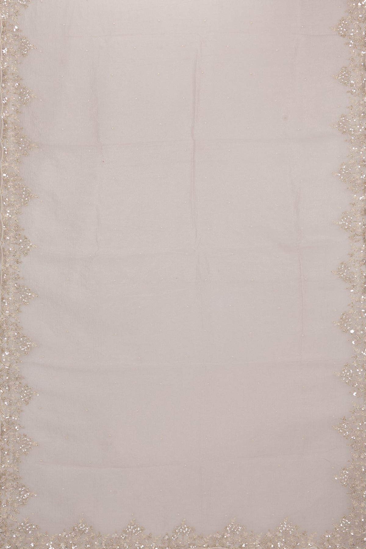 Flat view of Beige Organza Saree with Embroidered on the body and Embroidered Border. 