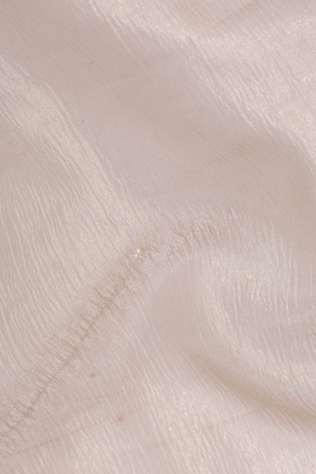 Close up of Beige Dual Tone Organza Saree with Embroidered on the body and Sequin Border.  displaying folds