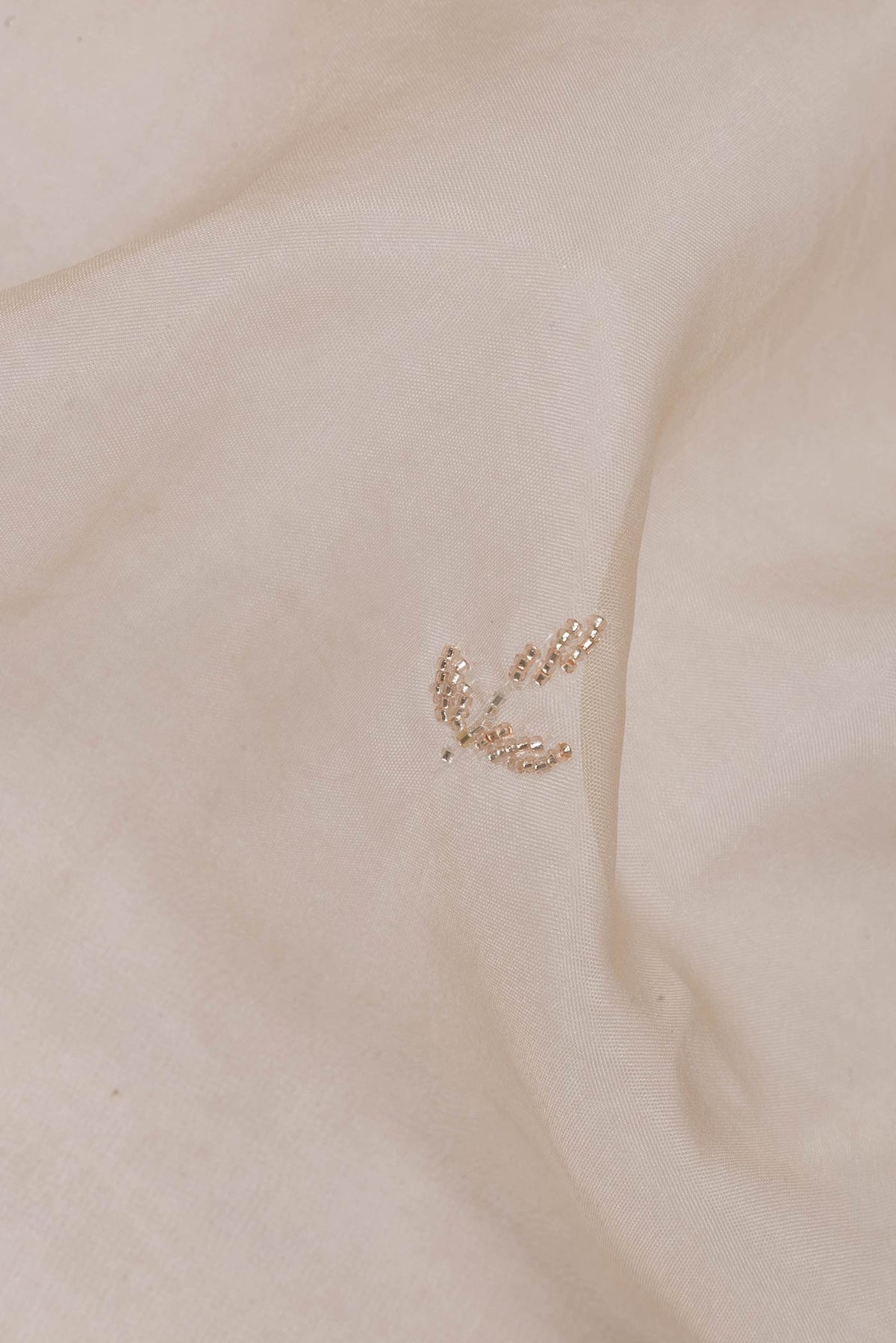 Close up of Beige Organza Saree with Embroidered on the body and Sequin Border.  displaying folds