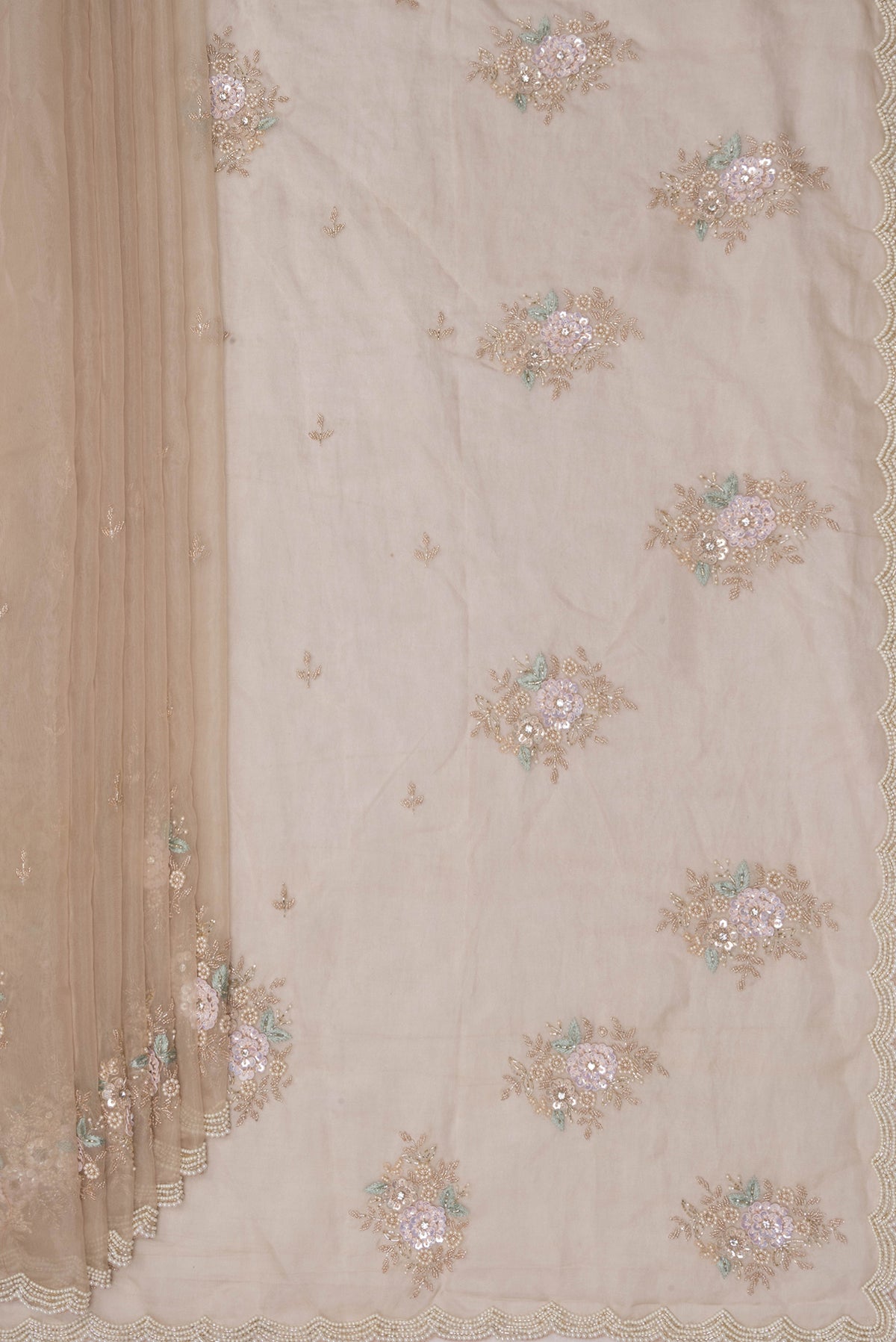 Pleats and pallu of Beige Organza Saree with Embroidered on the body and Sequin Border. 