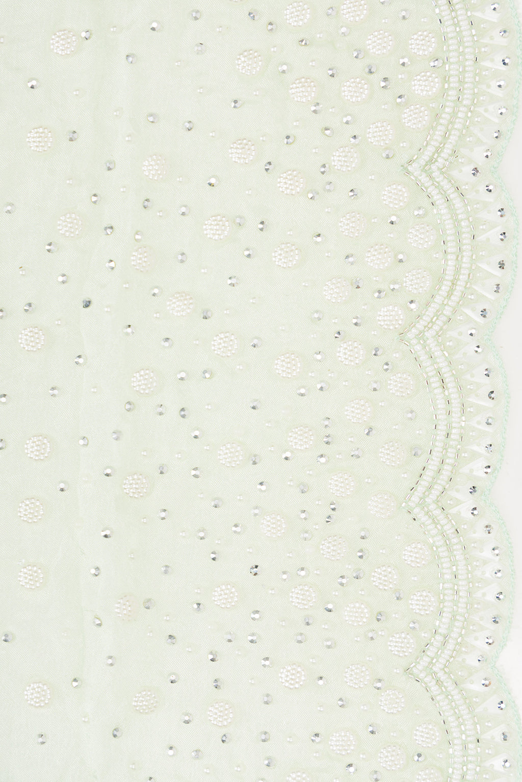 Border image of Light Green Dual Tone Mysore Georgette Saree with Embroidered on the body and Sequin Border. 