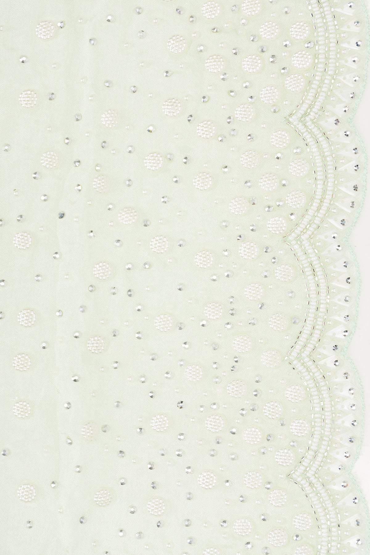 Border image of Light Green Dual Tone Mysore Georgette Saree with Embroidered on the body and Sequin Border. 
