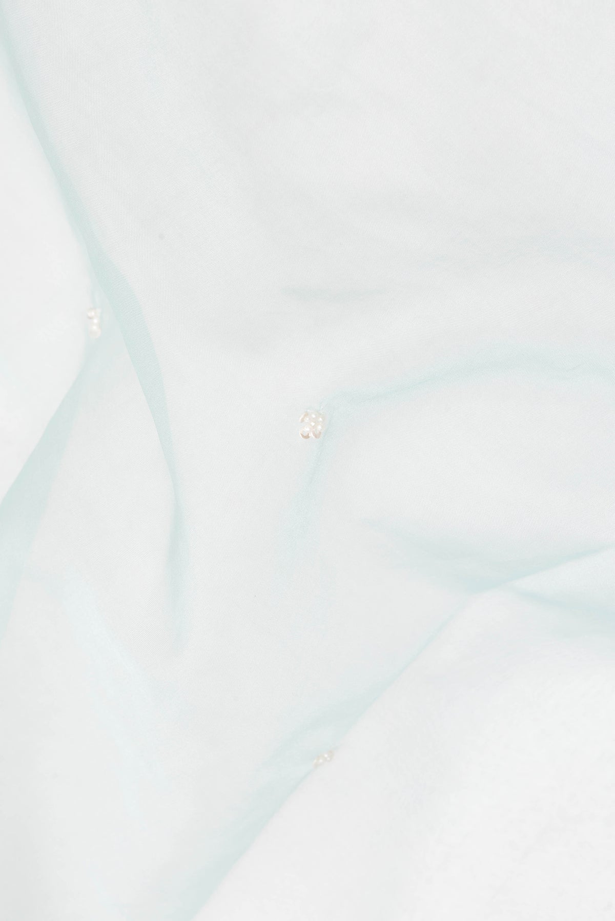 Close up of Light Blue Organza Saree with Embroidery on the body and Sequin Border.  displaying folds