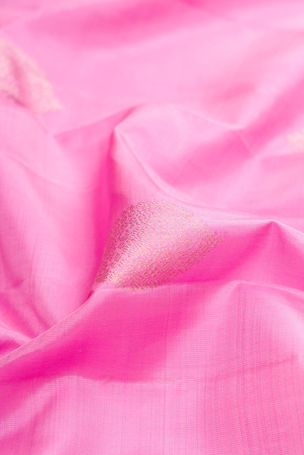 Close up of Rose pink Kanjivaram Silk Saree with Zari Butta on the body and Fancy Border.  displaying folds