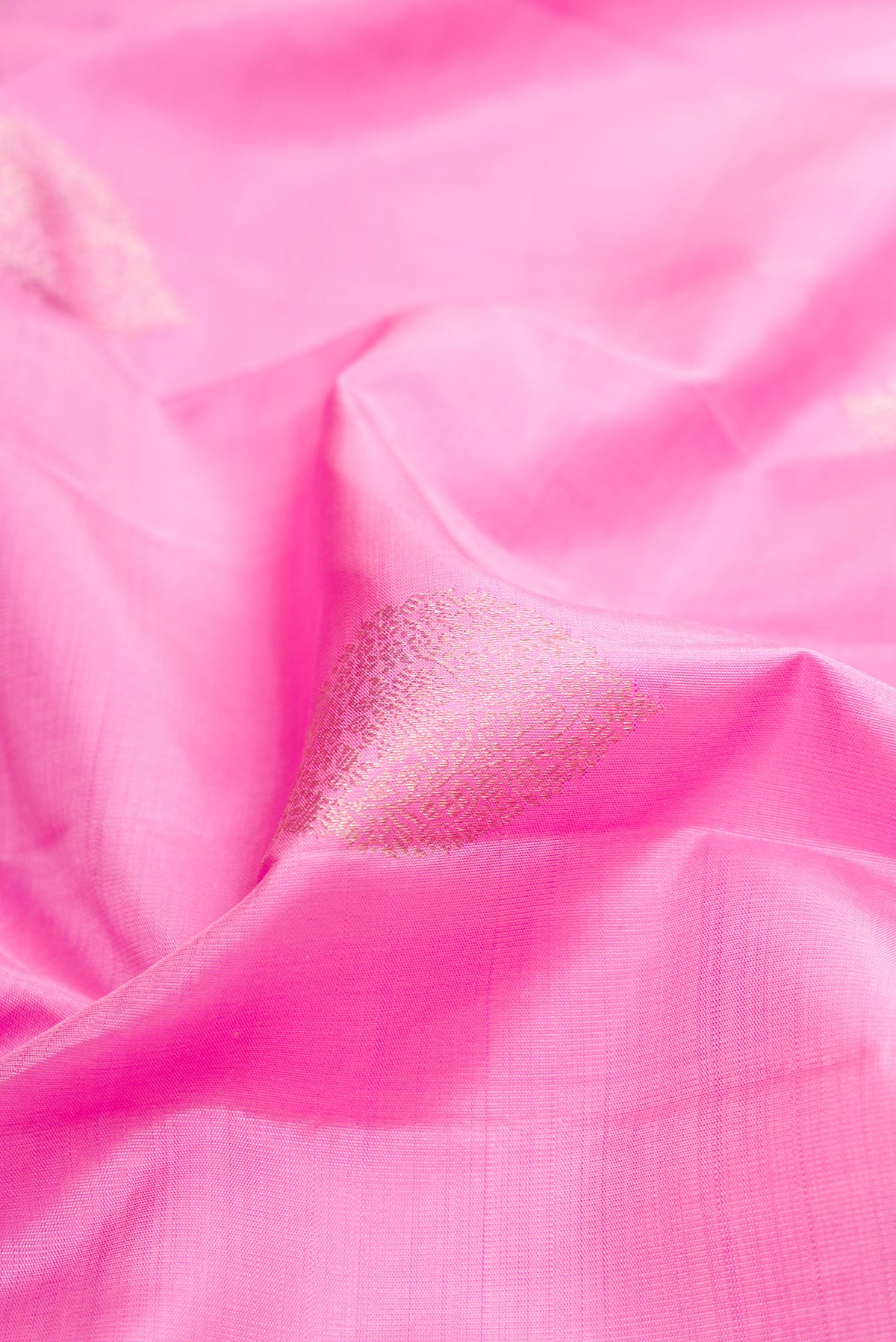 Close up of Rose pink Kanjivaram Silk Saree with Zari Butta on the body and Fancy Border.  displaying folds