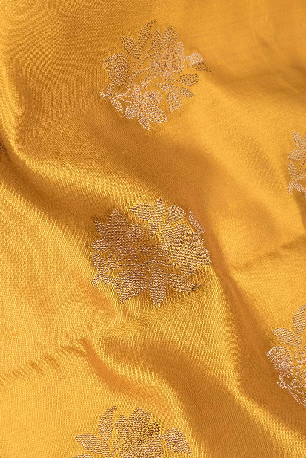 Close up of Mustard Tussar Silk Saree with Zari Butta on the body and Zari Border.  displaying folds