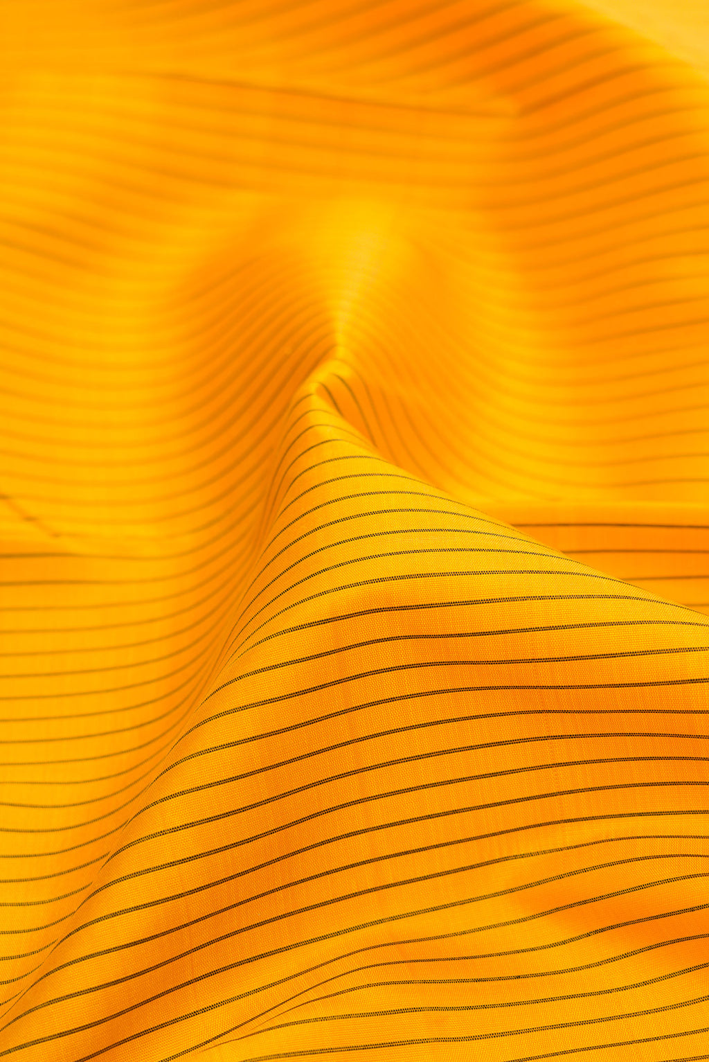 Close up of Yellow Kanjivaram Silk Saree with Stripes on the body and Zari Border.  displaying folds