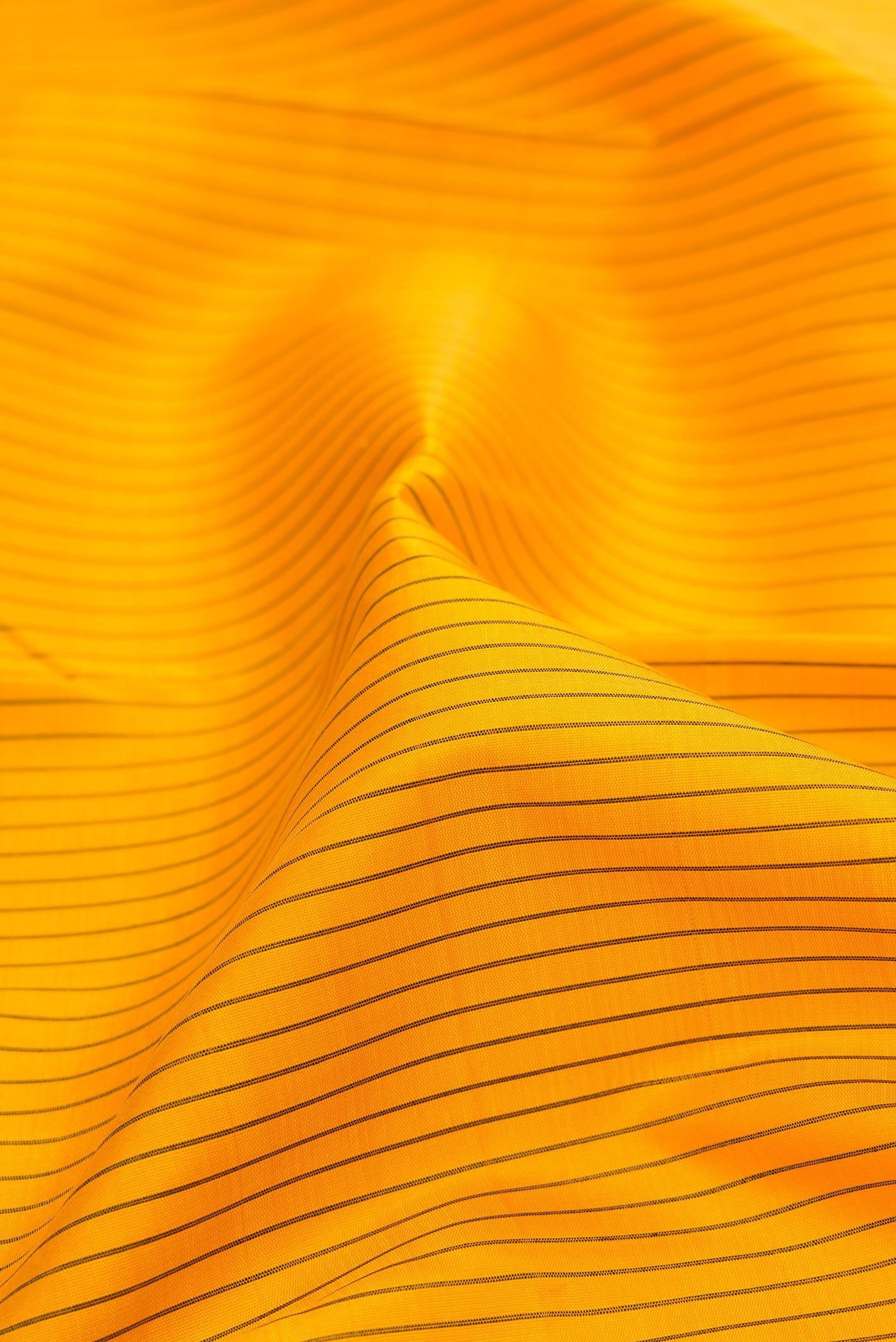 Close up of Yellow Kanjivaram Silk Saree with Stripes on the body and Zari Border.  displaying folds