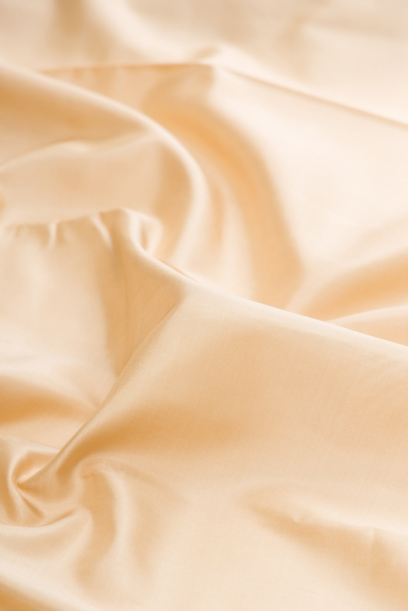 Close up of Pure Silk Pure Zari Sandal Kanjivaram Saree with Plain Body and Fancy Border.  displaying folds