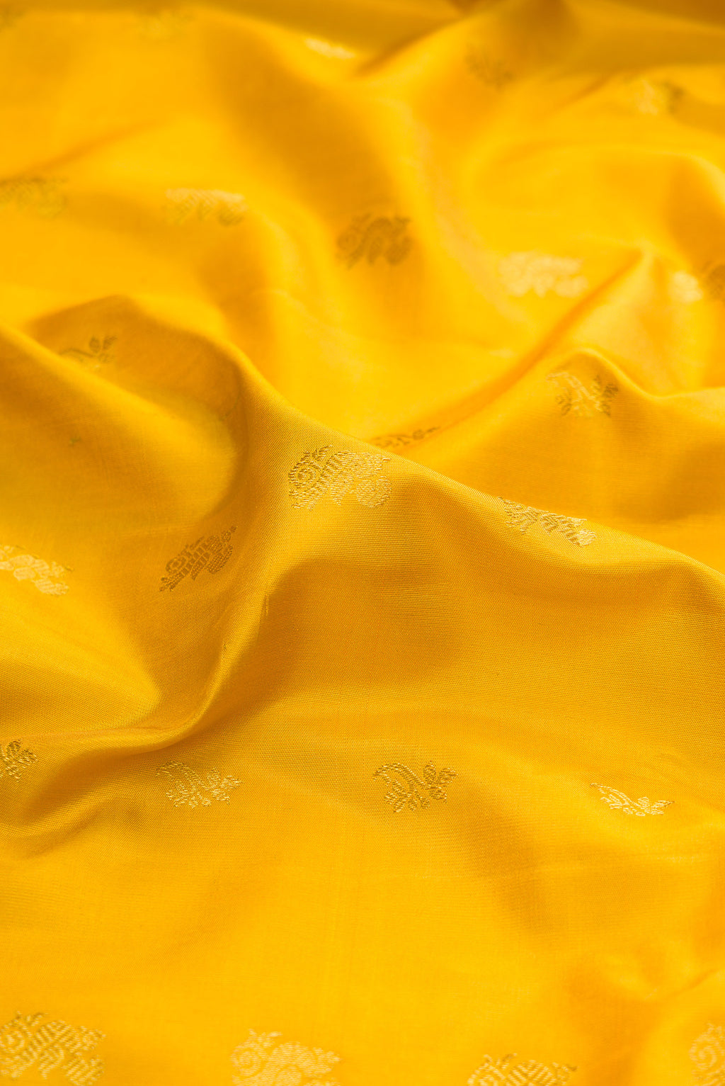 Close up of Mustard Gadwal Silk Saree with Zari Butta on the body and Zari Border.  displaying folds