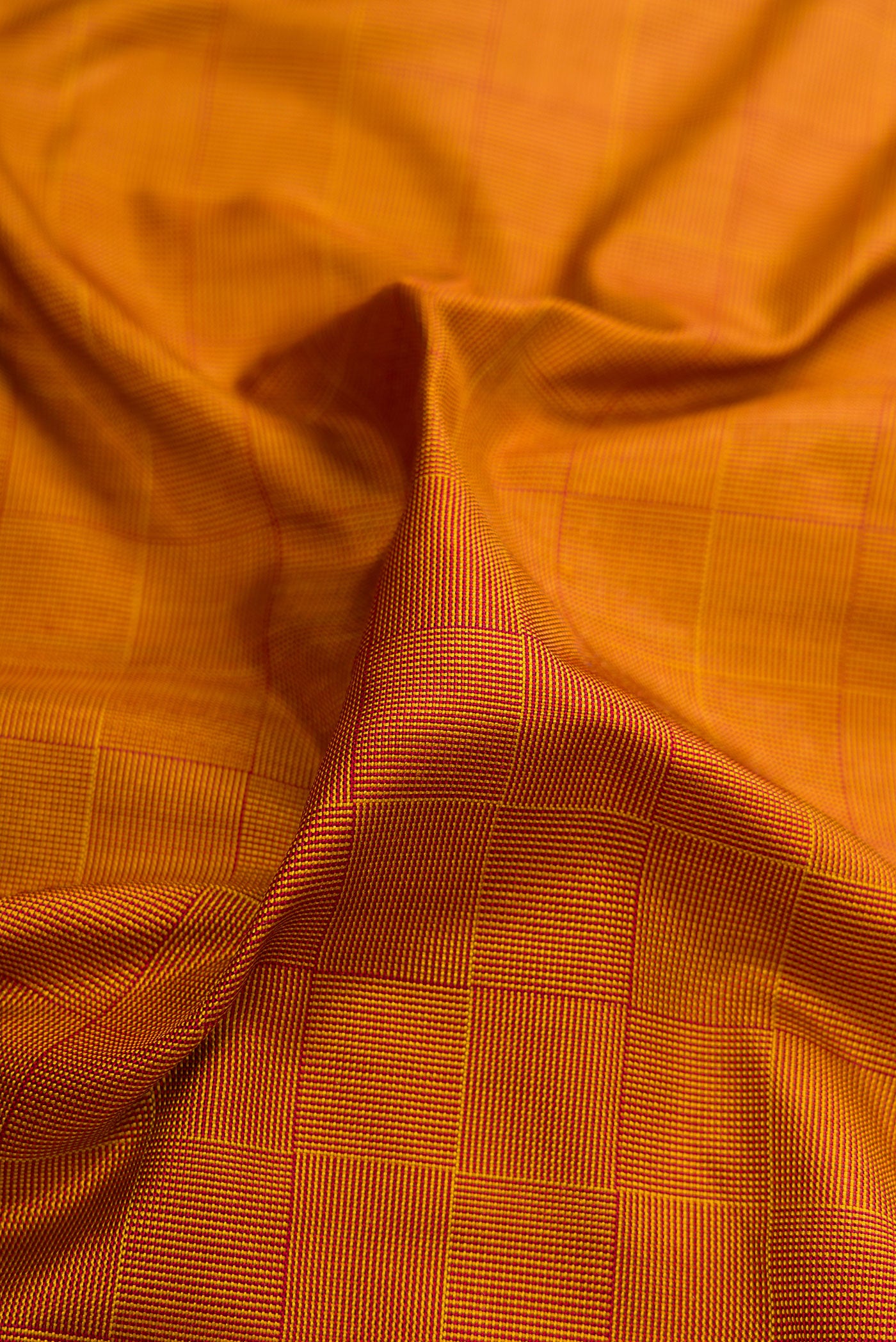 Close up of Mustard Double Ikat Saree with Checked design on the body and Ikat Border.  displaying folds