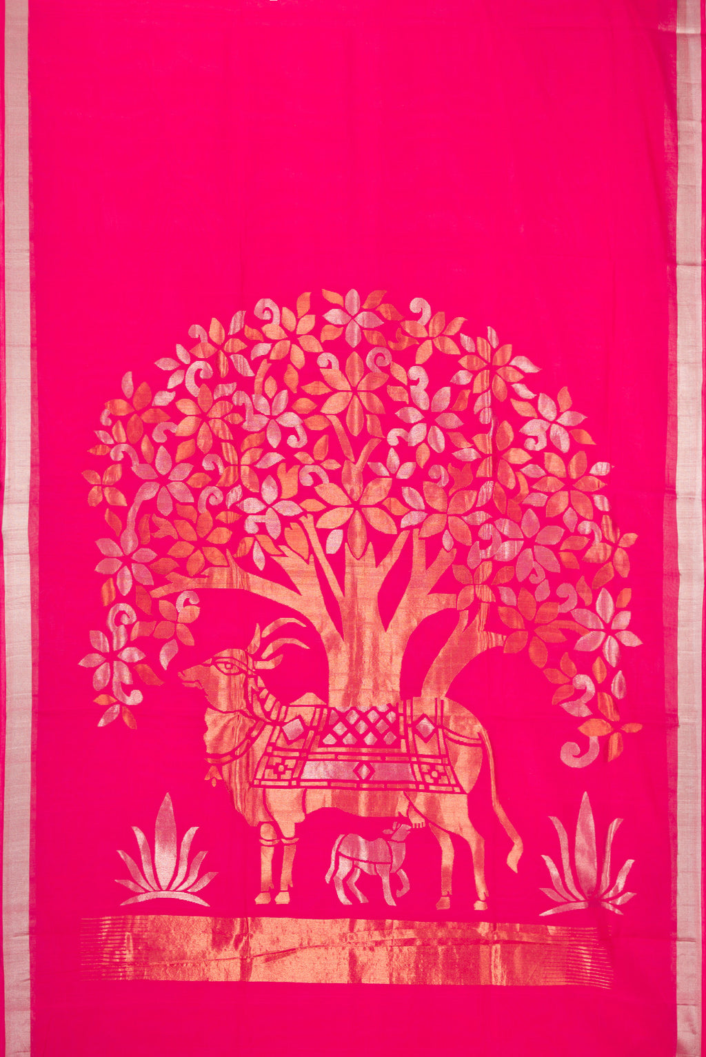 Flat view of Pink Uppada Cotton Saree with Plain Body and Zari Border. 