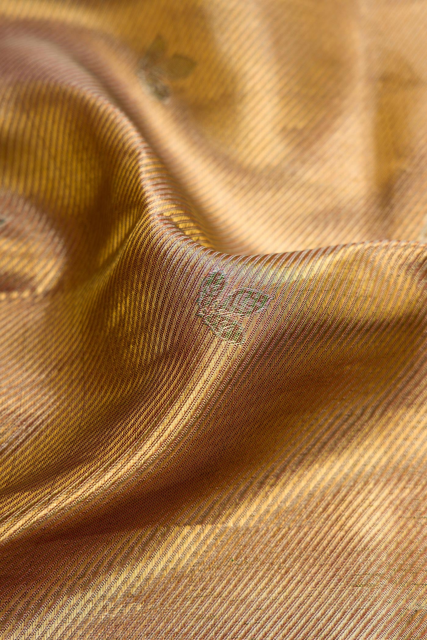 Close up of Gold Dual Tone Kanjivaram Tissue Silk Saree with Zari Brocade on the body and Fancy Border.  displaying folds