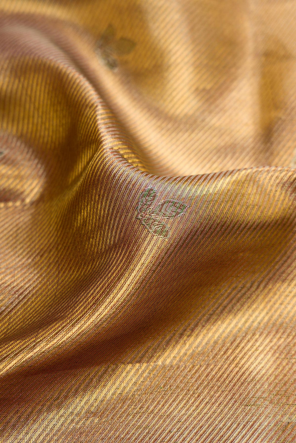 Close up of Gold Dual Tone Kanjivaram Tissue Silk Saree with Zari Brocade on the body and Fancy Border.  displaying folds