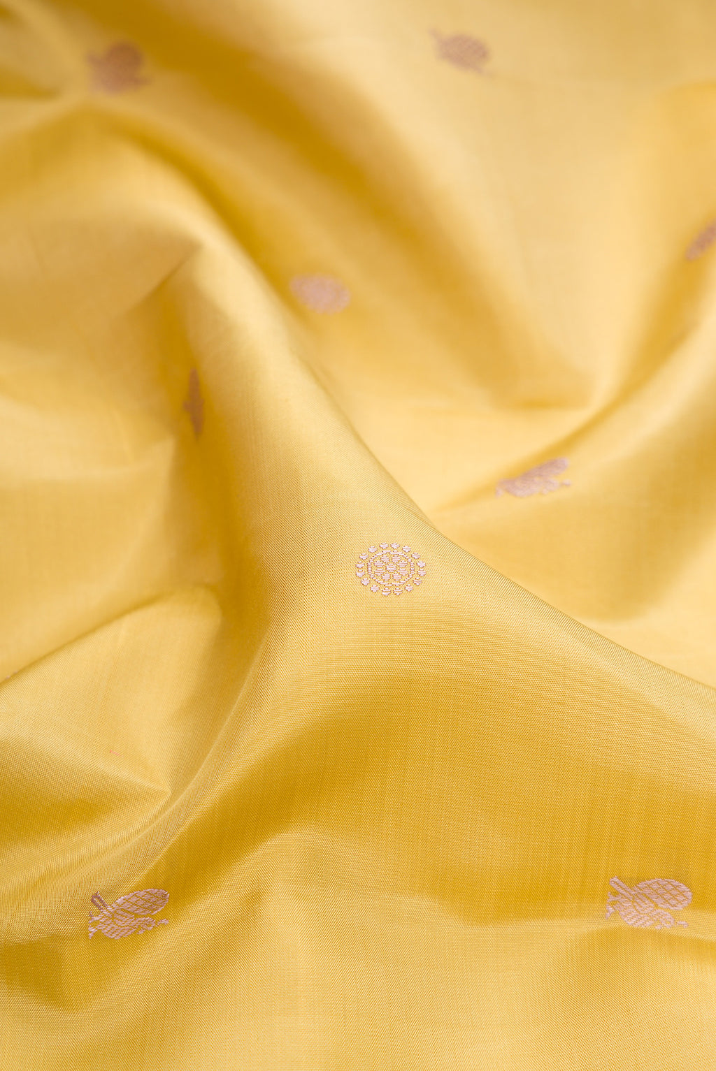 Close up of Sandal Kanchipuram Silk Saree with Thread Butta on the body and Thread Border.  displaying folds