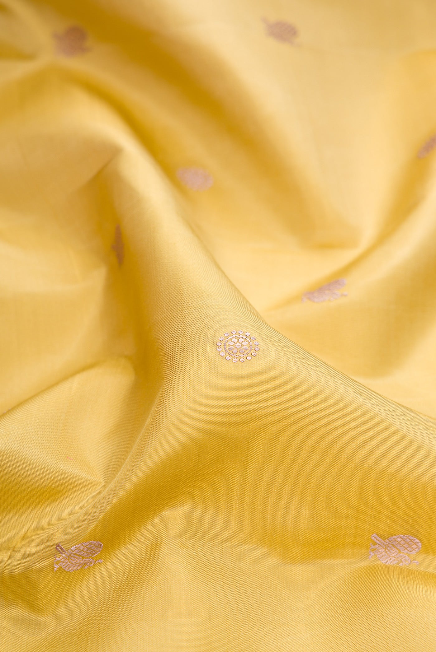 Close up of Sandal Kanchipuram Silk Saree with Thread Butta on the body and Thread Border.  displaying folds
